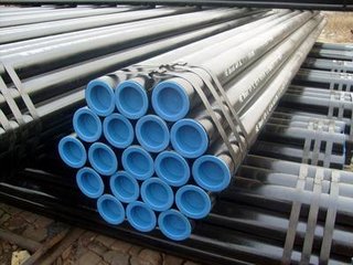 A213T11(bio)䓹